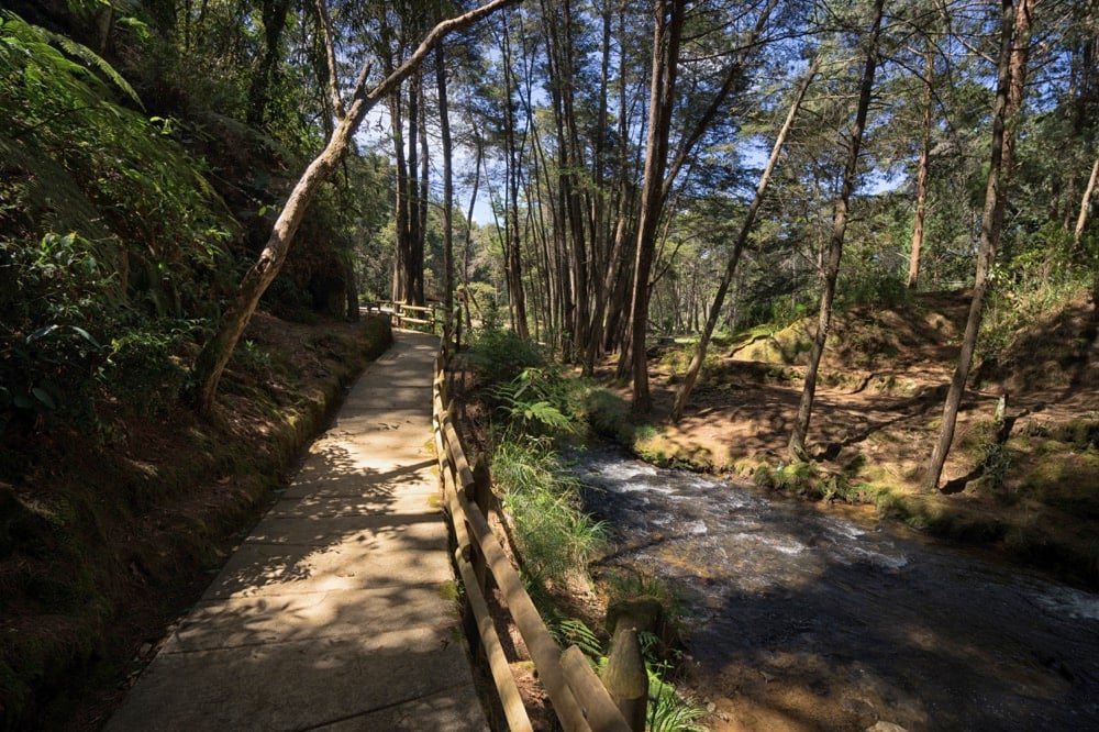 parque-arvi-medellin