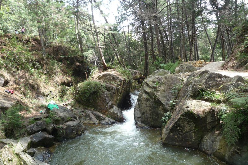 parque-arvi-medellin.jpg-1