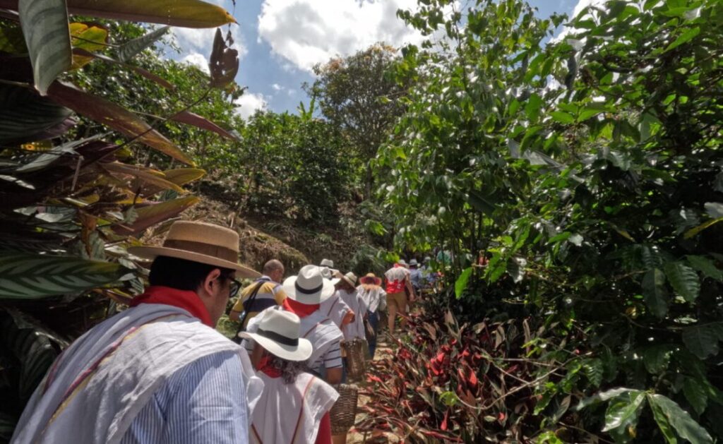 Colombian coffee farm experience in Medellin with coffee picking ,roasting and tasting tour