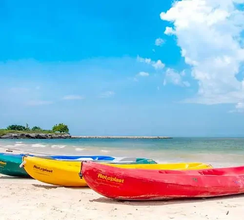 Pasadias-Palmarito-cartagena