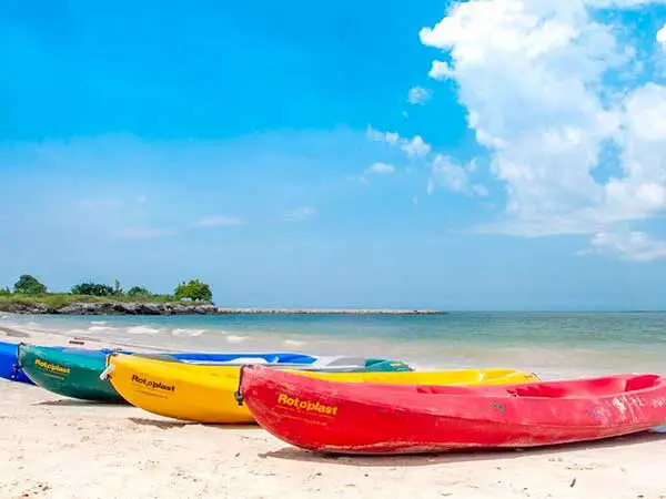 Pasadias-Palmarito-cartagena