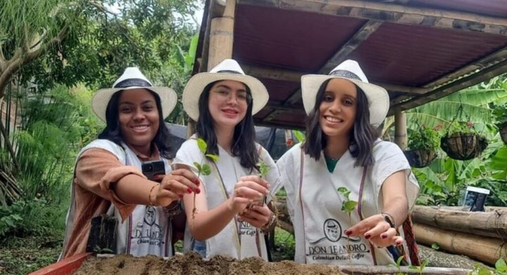 Coffee tour