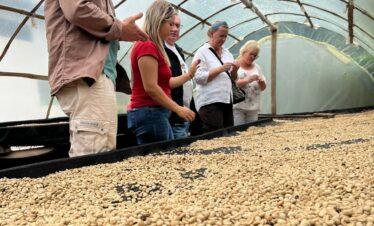 Coffee Tour Medellin