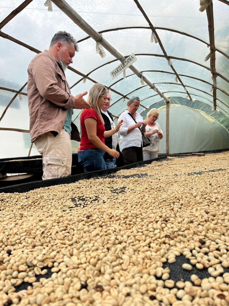 Coffee Tour Medellin