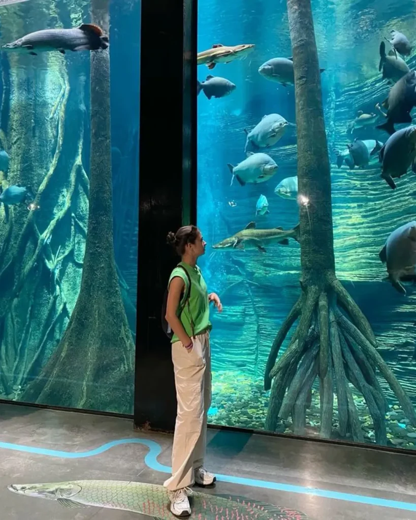 parque explora