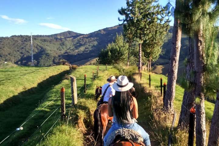 Cabalgata - medellin