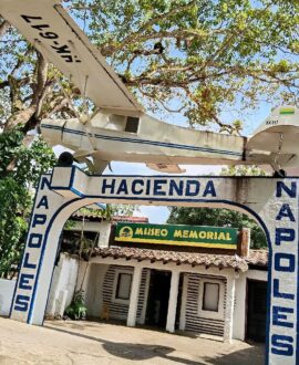 Hacienda Napoles Tour