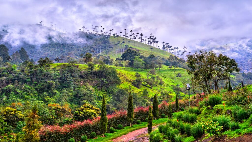 eje cafetero-colombia