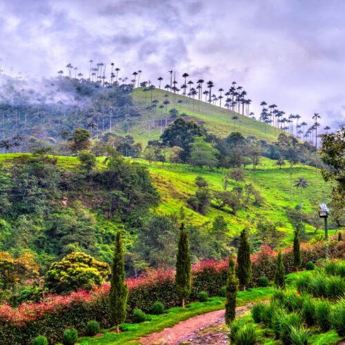 eje cafetero-colombia