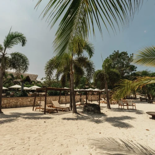 palmarito-Tierra Bomba-Cartagena